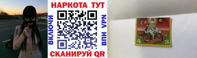 Где купить наркотики Будённовск СК Кокаин ГАШ Бошки Шишки