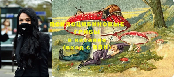 spice Богданович