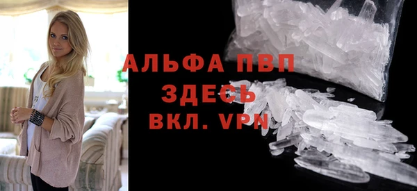 spice Богданович