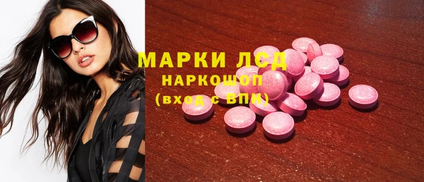spice Богданович