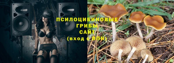 spice Богданович
