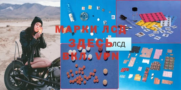 spice Богданович
