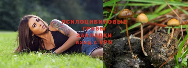 spice Богданович