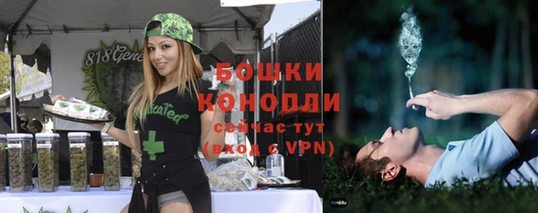 spice Богданович