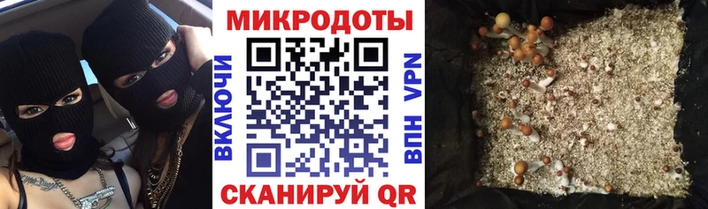 цена   Будённовск  ссылка на мегу tor  Галлюциногенные грибы ЛСД 